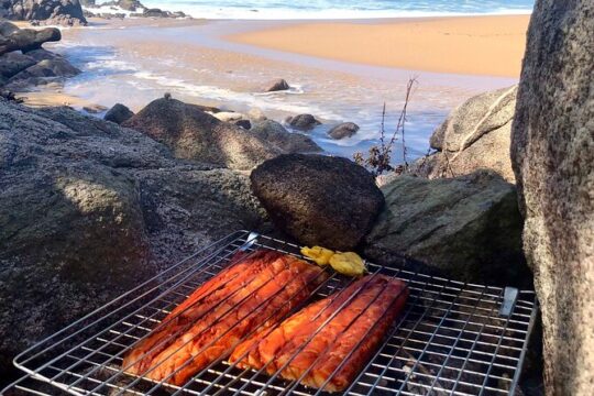 Sayulita Surfer Beach Town and Zarandeado with Seafood Grill