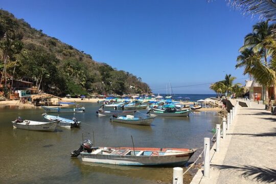 Hike Boca de Tomatlan to Playa Colomitos & Las Animas Beach