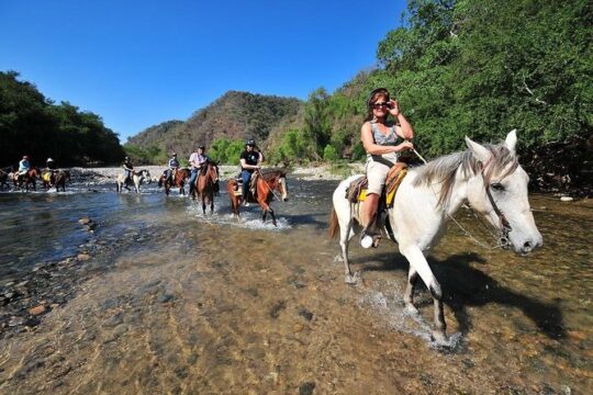 Jungle HorseBack Adventure to Las Palmas Waterfall All Included