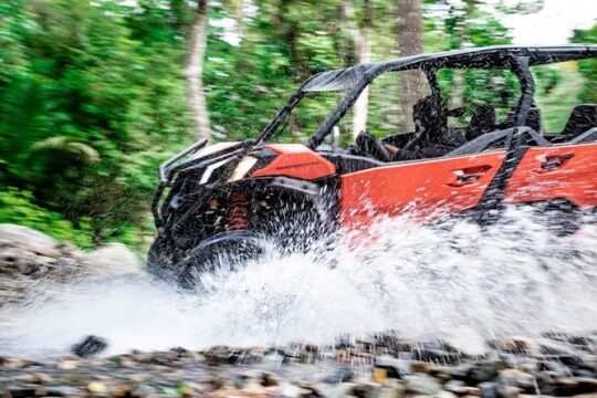 Tour Jungle RZR In La Sierra Madre