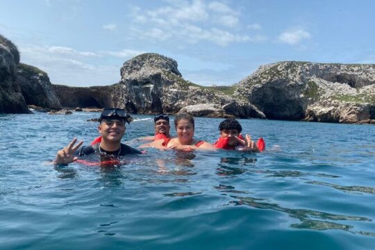 Basic Marietas Islands Tour Snorkeling Playa Nopalera and more