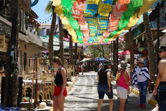 Private Full Day Tour to Sayulita