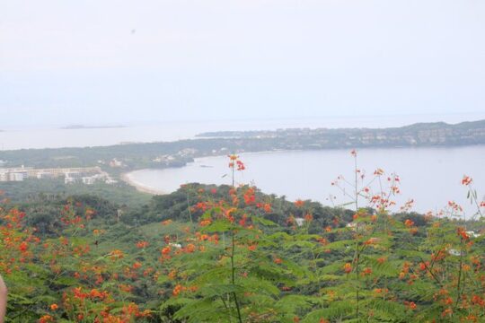 Private Tour of Cerro del Mono