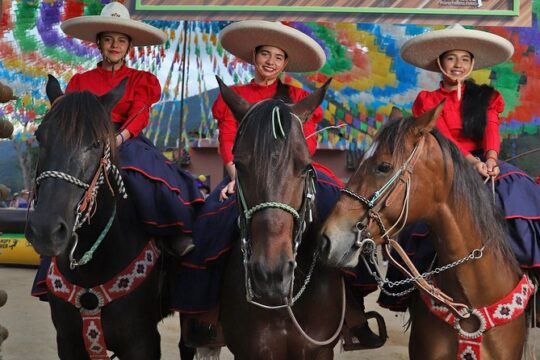 Fiesta in the Mountain Mexican Party Dinner and Show Open Bar